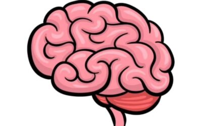 Neurofeedback dynamique, je vous explique…